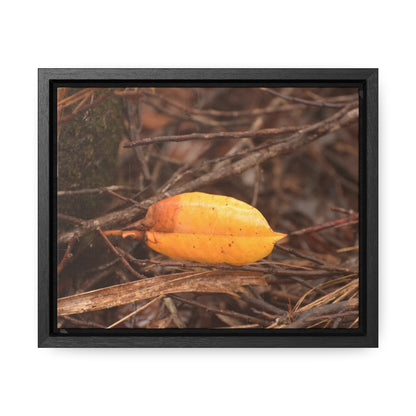 Rainforest Trails & Views - Gallery Canvas Wraps, Horizontal Frame - El Yunque National Forest - Puerto Rico - Rio Sabana - Decay of branches and leaves - Green Forest Home