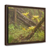 Rainforest Trails & Views - Gallery Canvas Wraps, Horizontal Frame - El Yunque National Forest - Puerto Rico - Rio Sabana Fallen Trees with bromeliads after Hurricane Maria - Green Forest Home