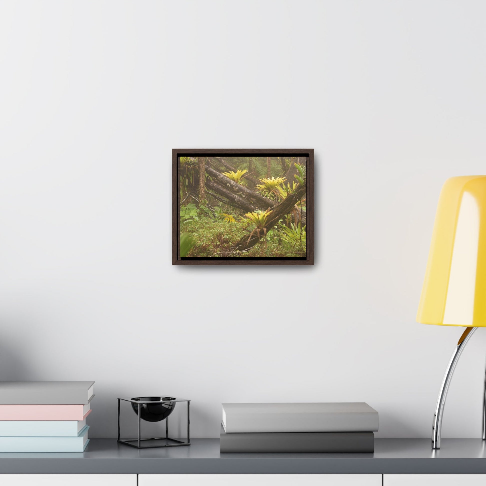 Rainforest Trails & Views - Gallery Canvas Wraps, Horizontal Frame - El Yunque National Forest - Puerto Rico - Rio Sabana Fallen Trees with bromeliads after Hurricane Maria - Green Forest Home