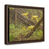 Rainforest Trails & Views - Gallery Canvas Wraps, Horizontal Frame - El Yunque National Forest - Puerto Rico - Rio Sabana Fallen Trees with bromeliads after Hurricane Maria - Green Forest Home