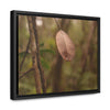 Rainforest Trails & Views - Gallery Canvas Wraps, Horizontal Frame - El Yunque National Forest - Puerto Rico - Rio Sabana Fine details of the forest - Green Forest Home