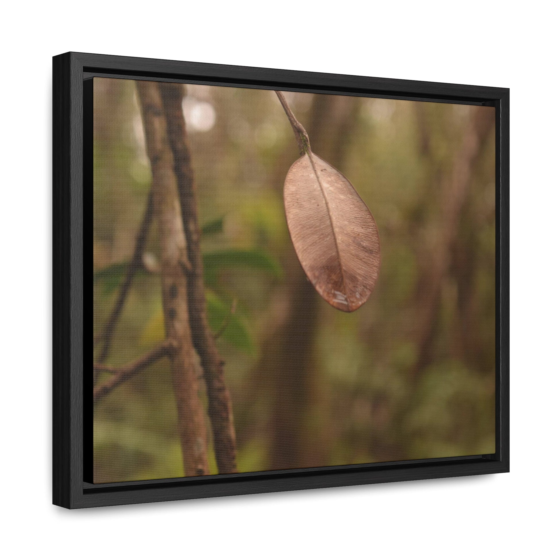 Rainforest Trails & Views - Gallery Canvas Wraps, Horizontal Frame - El Yunque National Forest - Puerto Rico - Rio Sabana Fine details of the forest - Green Forest Home