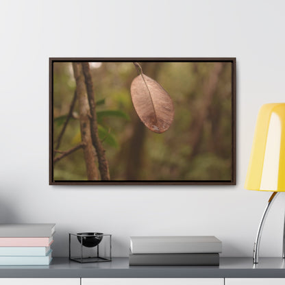 Rainforest Trails & Views - Gallery Canvas Wraps, Horizontal Frame - El Yunque National Forest - Puerto Rico - Rio Sabana Fine details of the forest - Green Forest Home