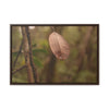 Rainforest Trails & Views - Gallery Canvas Wraps, Horizontal Frame - El Yunque National Forest - Puerto Rico - Rio Sabana Fine details of the forest - Green Forest Home