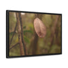 Rainforest Trails & Views - Gallery Canvas Wraps, Horizontal Frame - El Yunque National Forest - Puerto Rico - Rio Sabana Fine details of the forest - Green Forest Home