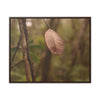 Rainforest Trails & Views - Gallery Canvas Wraps, Horizontal Frame - El Yunque National Forest - Puerto Rico - Rio Sabana Fine details of the forest - Green Forest Home