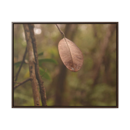 Rainforest Trails & Views - Gallery Canvas Wraps, Horizontal Frame - El Yunque National Forest - Puerto Rico - Rio Sabana Fine details of the forest - Green Forest Home
