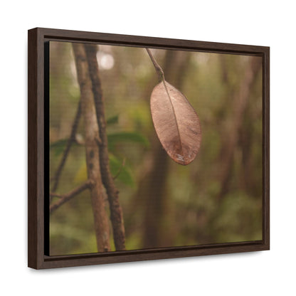 Rainforest Trails & Views - Gallery Canvas Wraps, Horizontal Frame - El Yunque National Forest - Puerto Rico - Rio Sabana Fine details of the forest - Green Forest Home