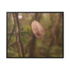 Rainforest Trails & Views - Gallery Canvas Wraps, Horizontal Frame - El Yunque National Forest - Puerto Rico - Rio Sabana Fine details of the forest - Green Forest Home