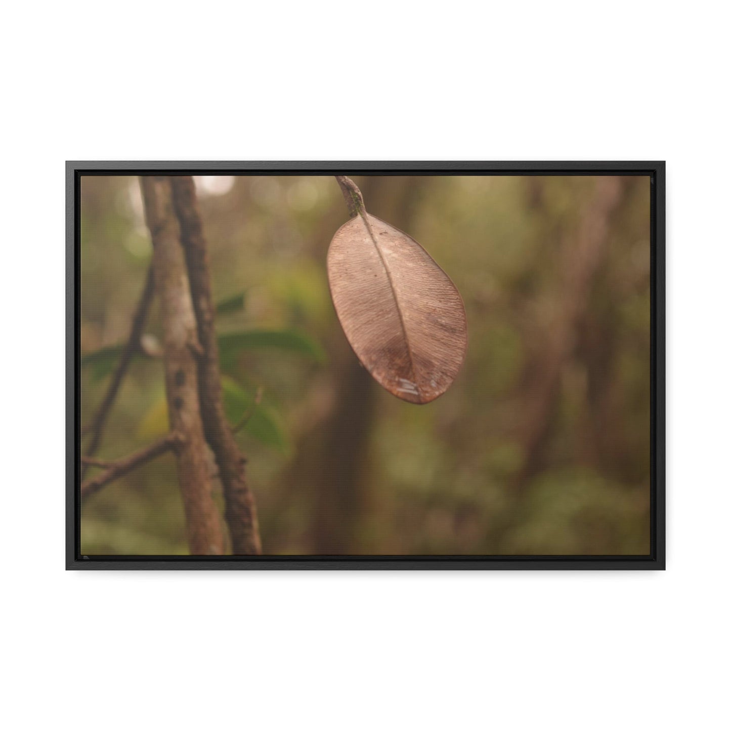Rainforest Trails & Views - Gallery Canvas Wraps, Horizontal Frame - El Yunque National Forest - Puerto Rico - Rio Sabana Fine details of the forest - Green Forest Home