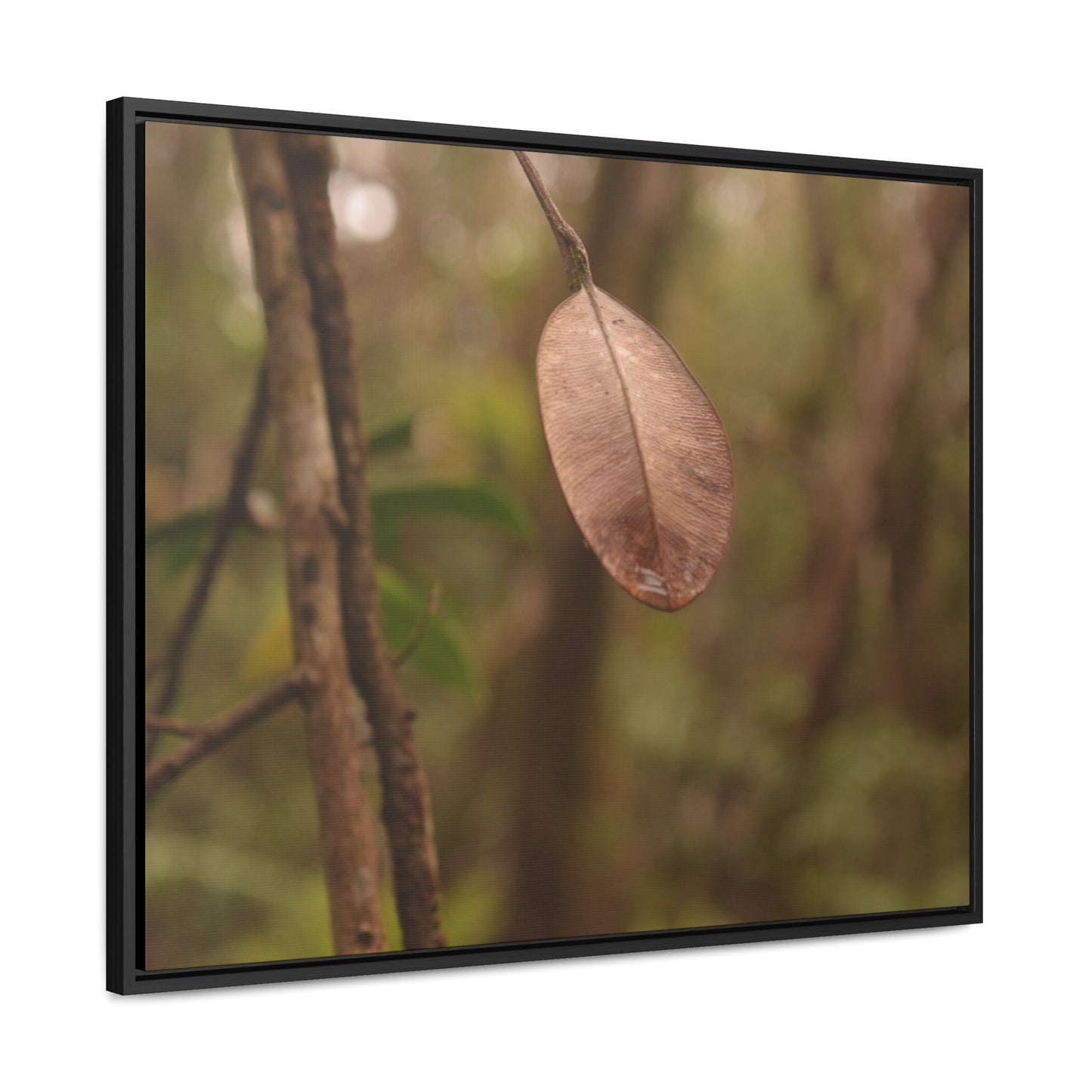 Rainforest Trails & Views - Gallery Canvas Wraps, Horizontal Frame - El Yunque National Forest - Puerto Rico - Rio Sabana Fine details of the forest - Green Forest Home