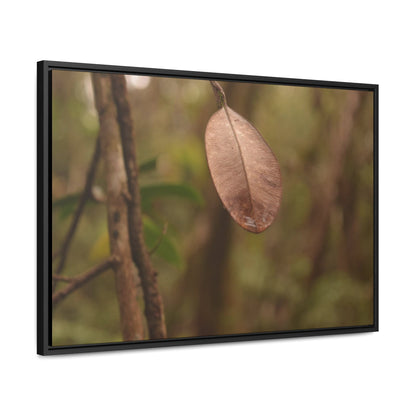 Rainforest Trails & Views - Gallery Canvas Wraps, Horizontal Frame - El Yunque National Forest - Puerto Rico - Rio Sabana Fine details of the forest - Green Forest Home