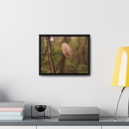 Rainforest Trails & Views - Gallery Canvas Wraps, Horizontal Frame - El Yunque National Forest - Puerto Rico - Rio Sabana Fine details of the forest - Green Forest Home