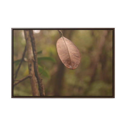 Rainforest Trails & Views - Gallery Canvas Wraps, Horizontal Frame - El Yunque National Forest - Puerto Rico - Rio Sabana Fine details of the forest - Green Forest Home