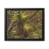 Rainforest Trails & Views - Gallery Canvas Wraps, Horizontal Frame - El Yunque National Forest - Puerto Rico - Rio Sabana Green Bromeliads - an AIR plant - Green Forest Home