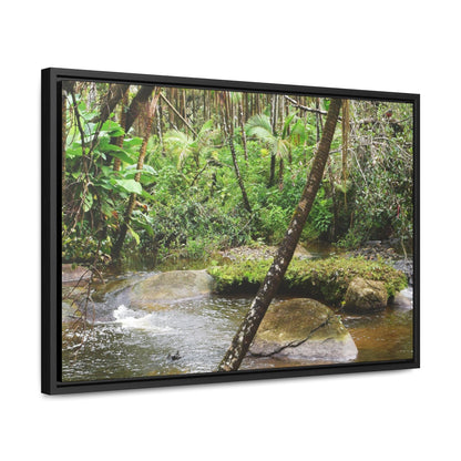 Rainforest Trails & Views - Gallery Canvas Wraps, Horizontal Frame - El Yunque National Forest - Puerto Rico - Rio Sabana hidden pond closeup - Green Forest Home