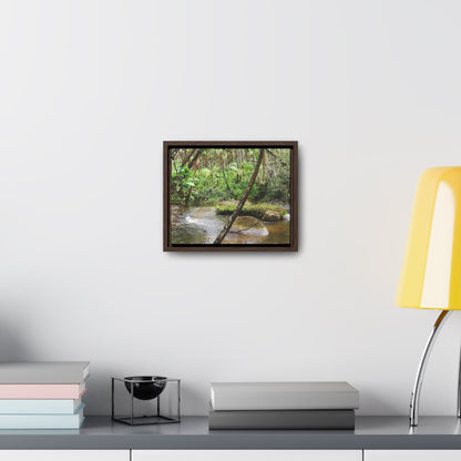 Rainforest Trails & Views - Gallery Canvas Wraps, Horizontal Frame - El Yunque National Forest - Puerto Rico - Rio Sabana hidden pond closeup - Green Forest Home