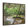Rainforest Trails & Views - Gallery Canvas Wraps, Horizontal Frame - El Yunque National Forest - Puerto Rico - Rio Sabana hidden pond closeup - Green Forest Home