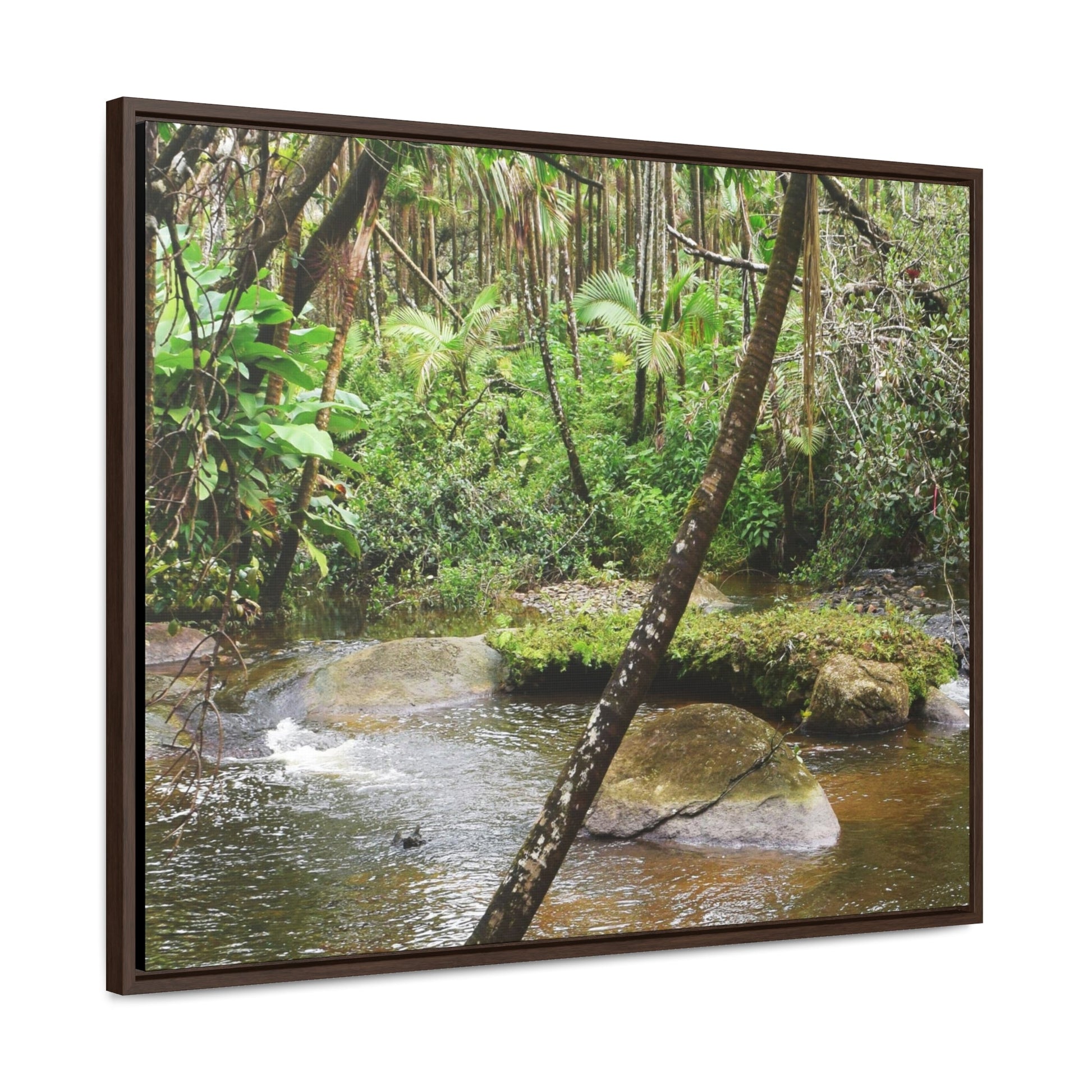 Rainforest Trails & Views - Gallery Canvas Wraps, Horizontal Frame - El Yunque National Forest - Puerto Rico - Rio Sabana hidden pond closeup - Green Forest Home