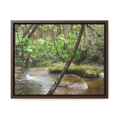 Rainforest Trails & Views - Gallery Canvas Wraps, Horizontal Frame - El Yunque National Forest - Puerto Rico - Rio Sabana hidden pond closeup - Green Forest Home