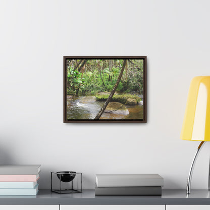 Rainforest Trails & Views - Gallery Canvas Wraps, Horizontal Frame - El Yunque National Forest - Puerto Rico - Rio Sabana hidden pond closeup - Green Forest Home