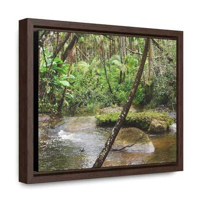 Rainforest Trails & Views - Gallery Canvas Wraps, Horizontal Frame - El Yunque National Forest - Puerto Rico - Rio Sabana hidden pond closeup - Green Forest Home