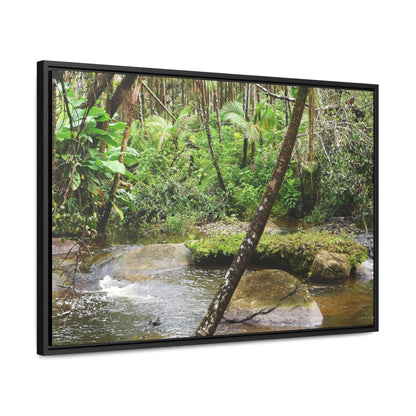 Rainforest Trails & Views - Gallery Canvas Wraps, Horizontal Frame - El Yunque National Forest - Puerto Rico - Rio Sabana hidden pond closeup - Green Forest Home