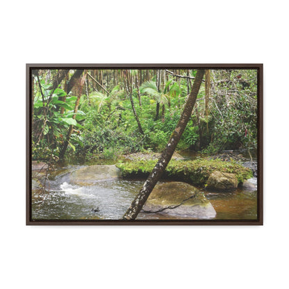 Rainforest Trails & Views - Gallery Canvas Wraps, Horizontal Frame - El Yunque National Forest - Puerto Rico - Rio Sabana hidden pond closeup - Green Forest Home