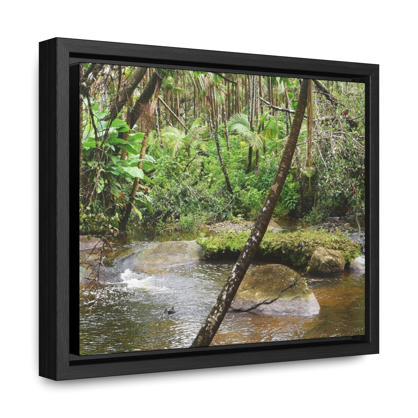 Rainforest Trails & Views - Gallery Canvas Wraps, Horizontal Frame - El Yunque National Forest - Puerto Rico - Rio Sabana hidden pond closeup - Green Forest Home