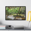 Rainforest Trails & Views - Gallery Canvas Wraps, Horizontal Frame - El Yunque National Forest - Puerto Rico - Rio Sabana hidden pond closeup - Green Forest Home