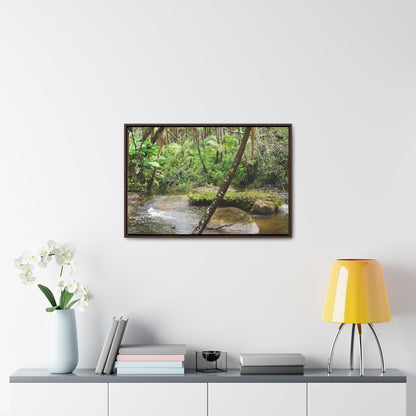 Rainforest Trails & Views - Gallery Canvas Wraps, Horizontal Frame - El Yunque National Forest - Puerto Rico - Rio Sabana hidden pond closeup - Green Forest Home