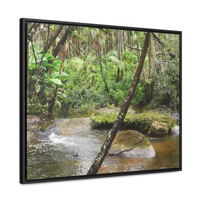Rainforest Trails & Views - Gallery Canvas Wraps, Horizontal Frame - El Yunque National Forest - Puerto Rico - Rio Sabana hidden pond closeup - Green Forest Home