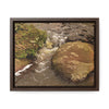 Rainforest Trails & Views - Gallery Canvas Wraps, Horizontal Frame - El Yunque National Forest - Puerto Rico - Rio Sabana moves across boulders - Green Forest Home