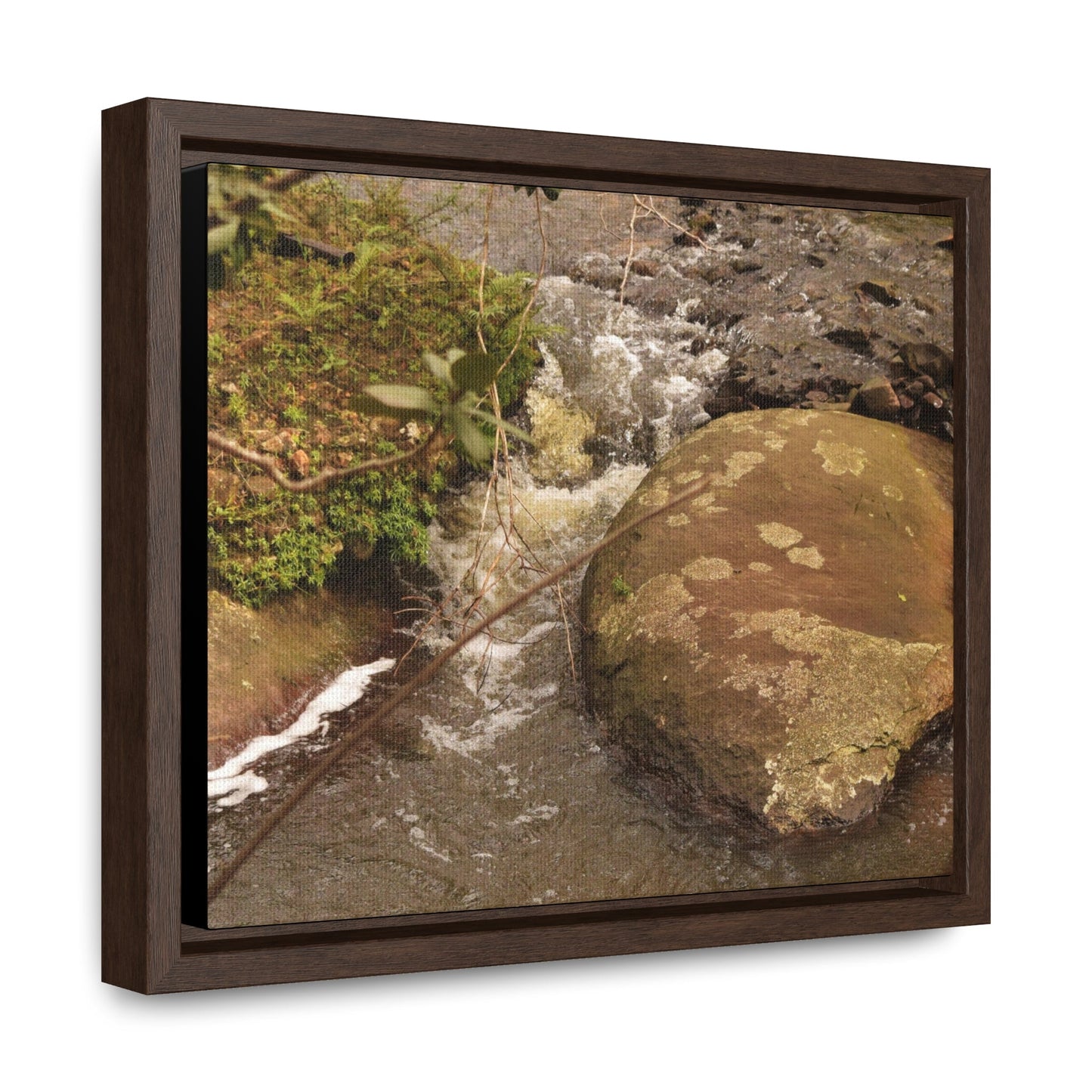 Rainforest Trails & Views - Gallery Canvas Wraps, Horizontal Frame - El Yunque National Forest - Puerto Rico - Rio Sabana moves across boulders - Green Forest Home