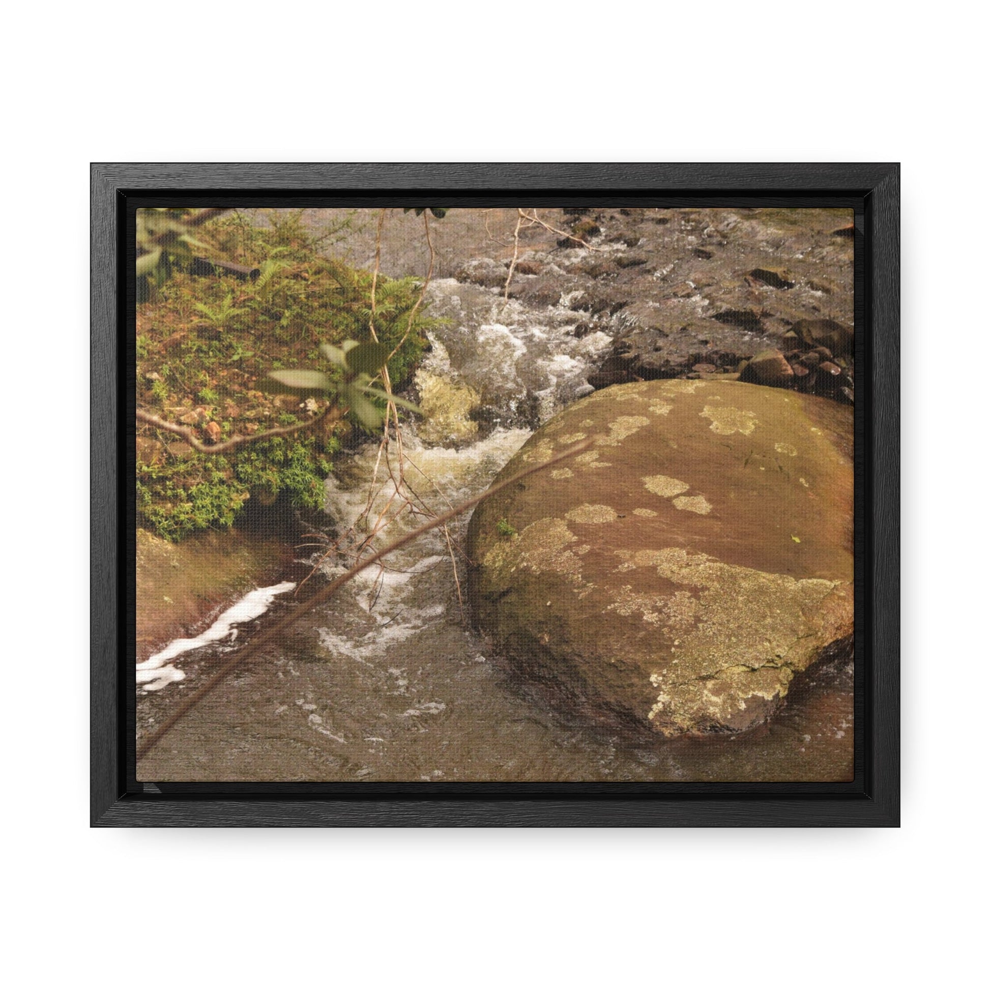 Rainforest Trails & Views - Gallery Canvas Wraps, Horizontal Frame - El Yunque National Forest - Puerto Rico - Rio Sabana moves across boulders - Green Forest Home