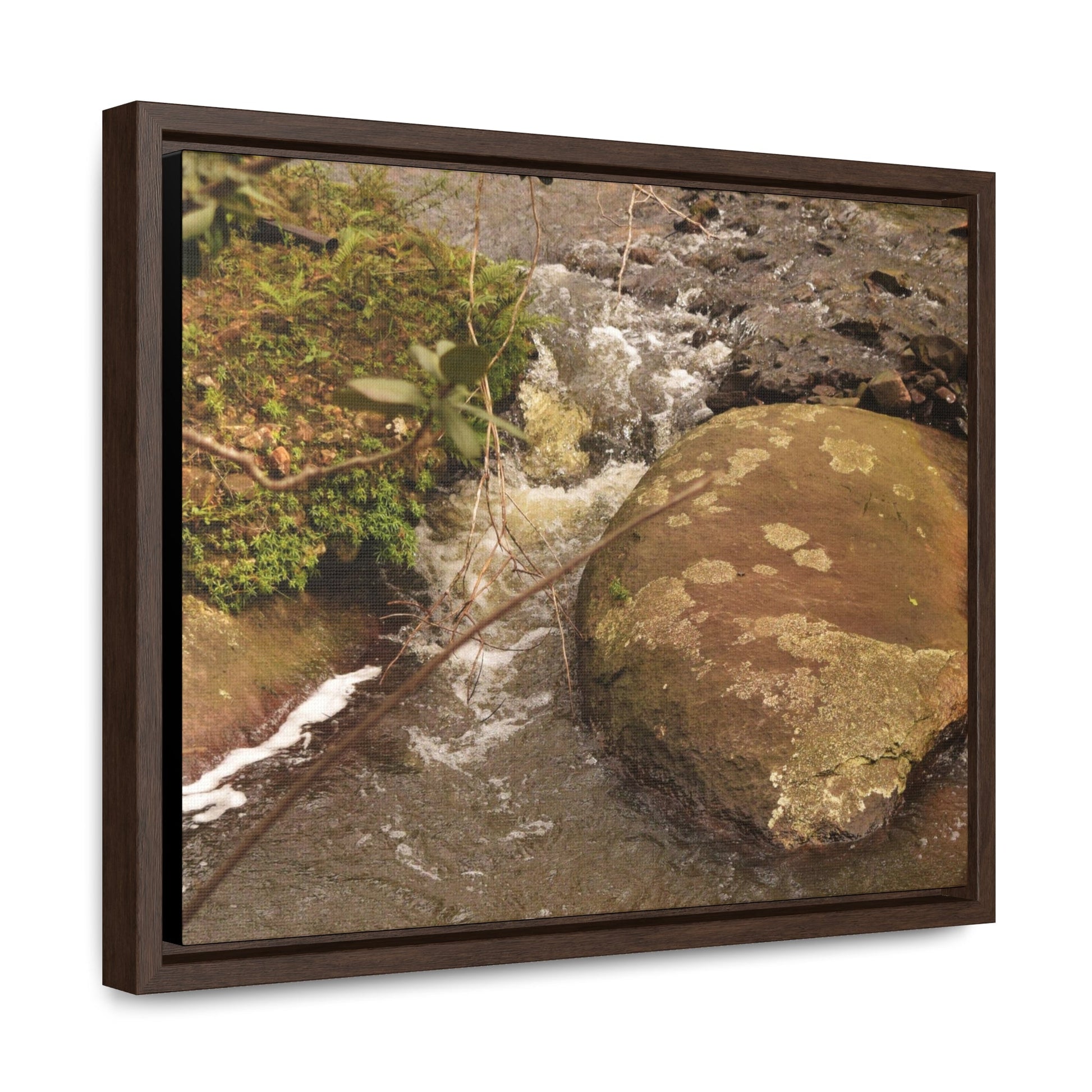 Rainforest Trails & Views - Gallery Canvas Wraps, Horizontal Frame - El Yunque National Forest - Puerto Rico - Rio Sabana moves across boulders - Green Forest Home