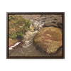 Rainforest Trails & Views - Gallery Canvas Wraps, Horizontal Frame - El Yunque National Forest - Puerto Rico - Rio Sabana moves across boulders - Green Forest Home