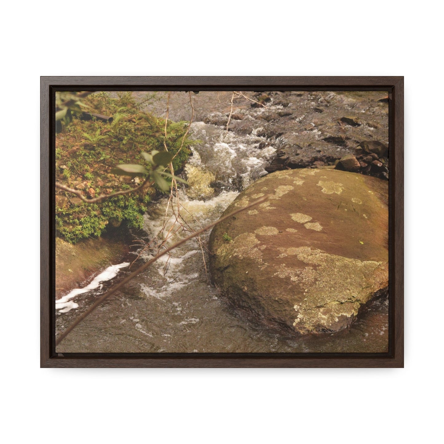 Rainforest Trails & Views - Gallery Canvas Wraps, Horizontal Frame - El Yunque National Forest - Puerto Rico - Rio Sabana moves across boulders - Green Forest Home