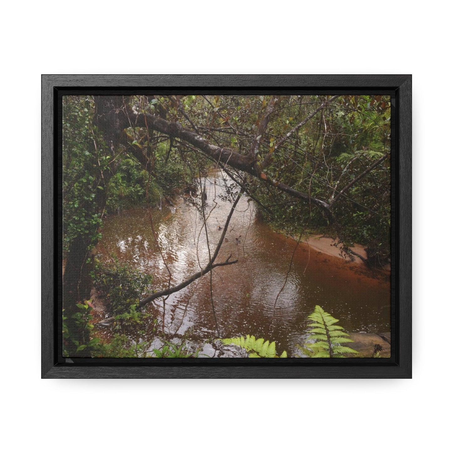 Rainforest Trails & Views - Gallery Canvas Wraps, Horizontal Frame - El Yunque National Forest - Puerto Rico - Rio Sabana on rainy day - Green Forest Home