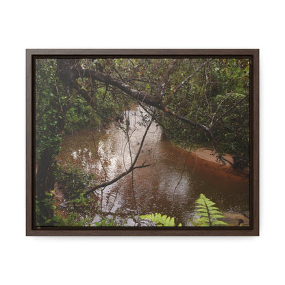 Rainforest Trails & Views - Gallery Canvas Wraps, Horizontal Frame - El Yunque National Forest - Puerto Rico - Rio Sabana on rainy day - Green Forest Home