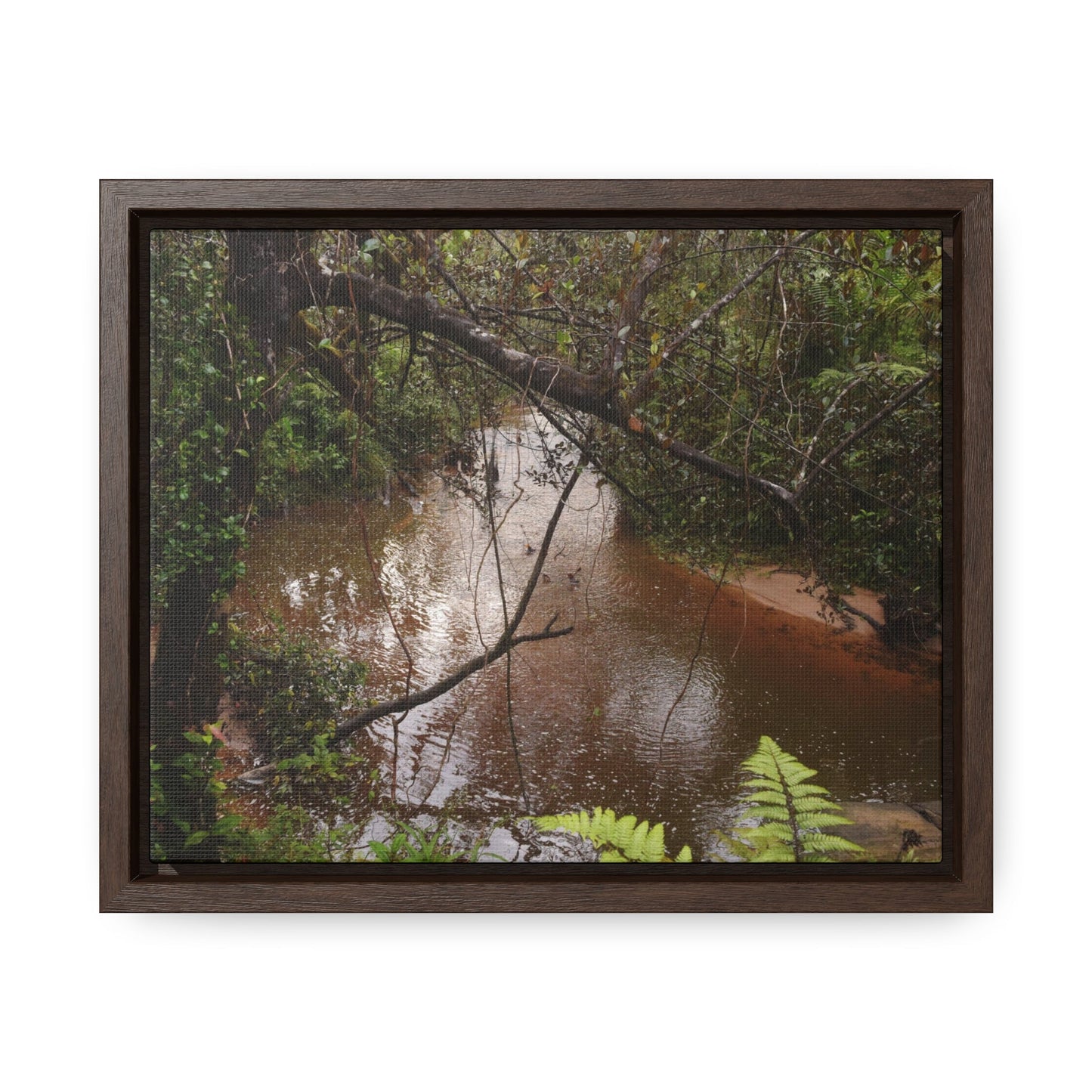 Rainforest Trails & Views - Gallery Canvas Wraps, Horizontal Frame - El Yunque National Forest - Puerto Rico - Rio Sabana on rainy day - Green Forest Home