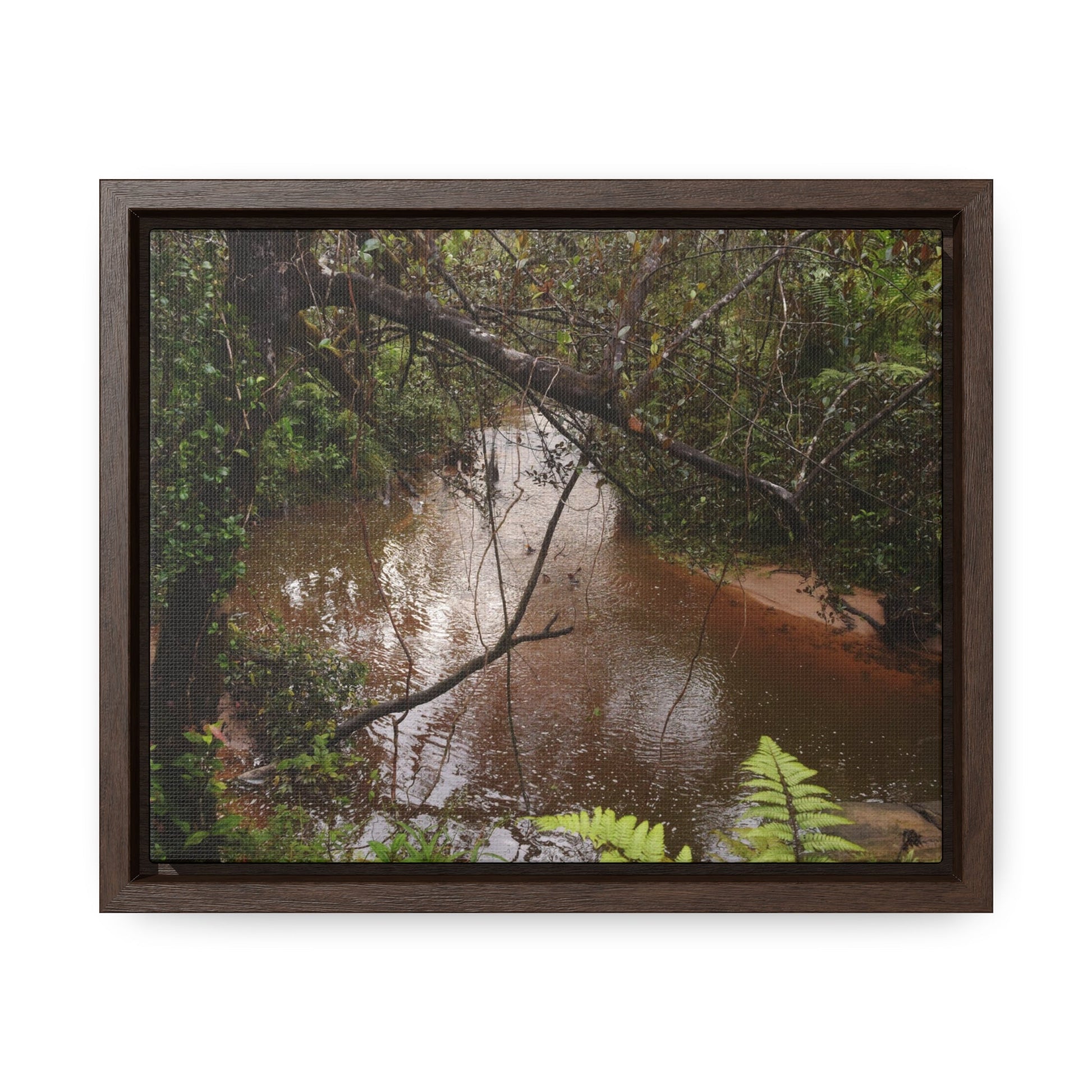 Rainforest Trails & Views - Gallery Canvas Wraps, Horizontal Frame - El Yunque National Forest - Puerto Rico - Rio Sabana on rainy day - Green Forest Home