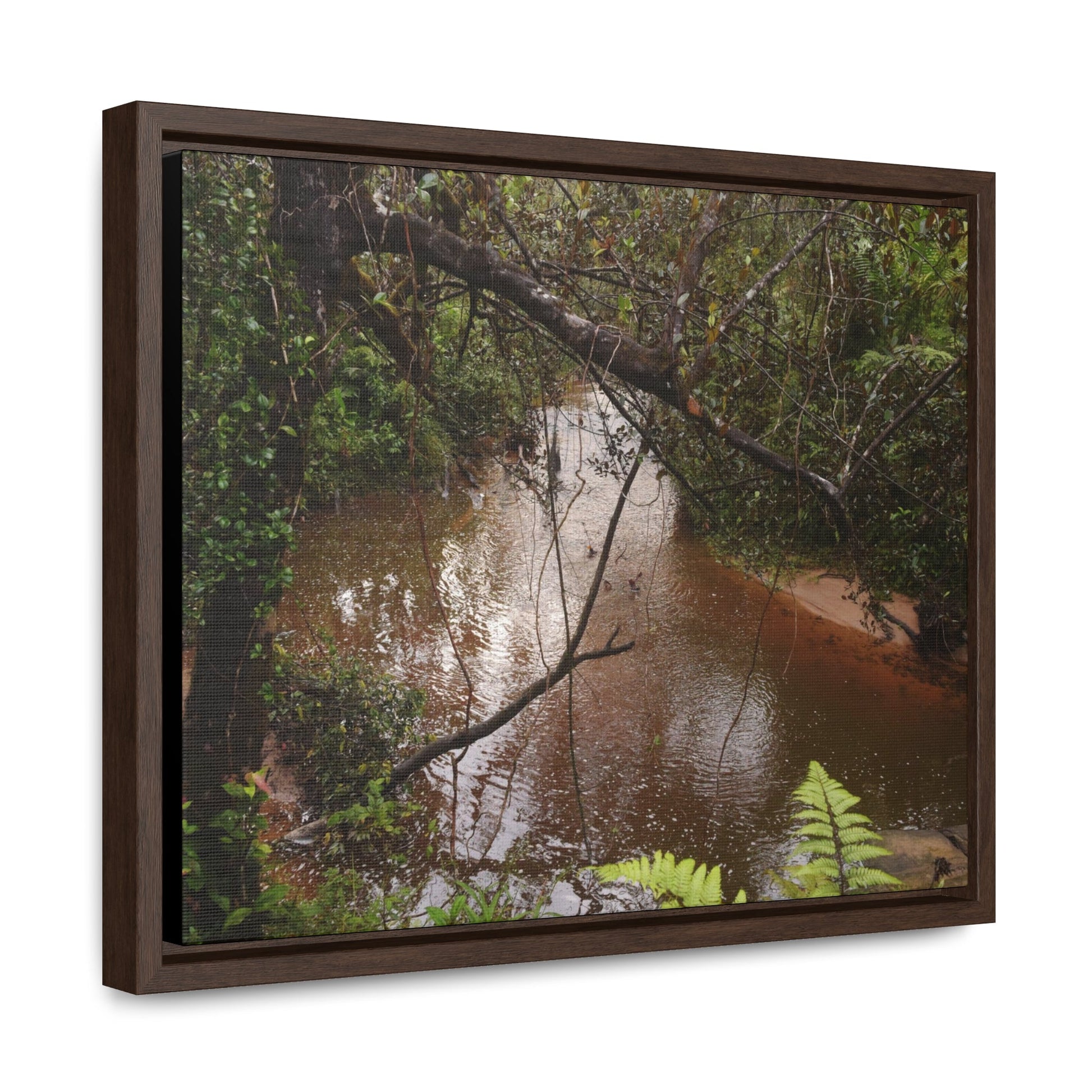 Rainforest Trails & Views - Gallery Canvas Wraps, Horizontal Frame - El Yunque National Forest - Puerto Rico - Rio Sabana on rainy day - Green Forest Home