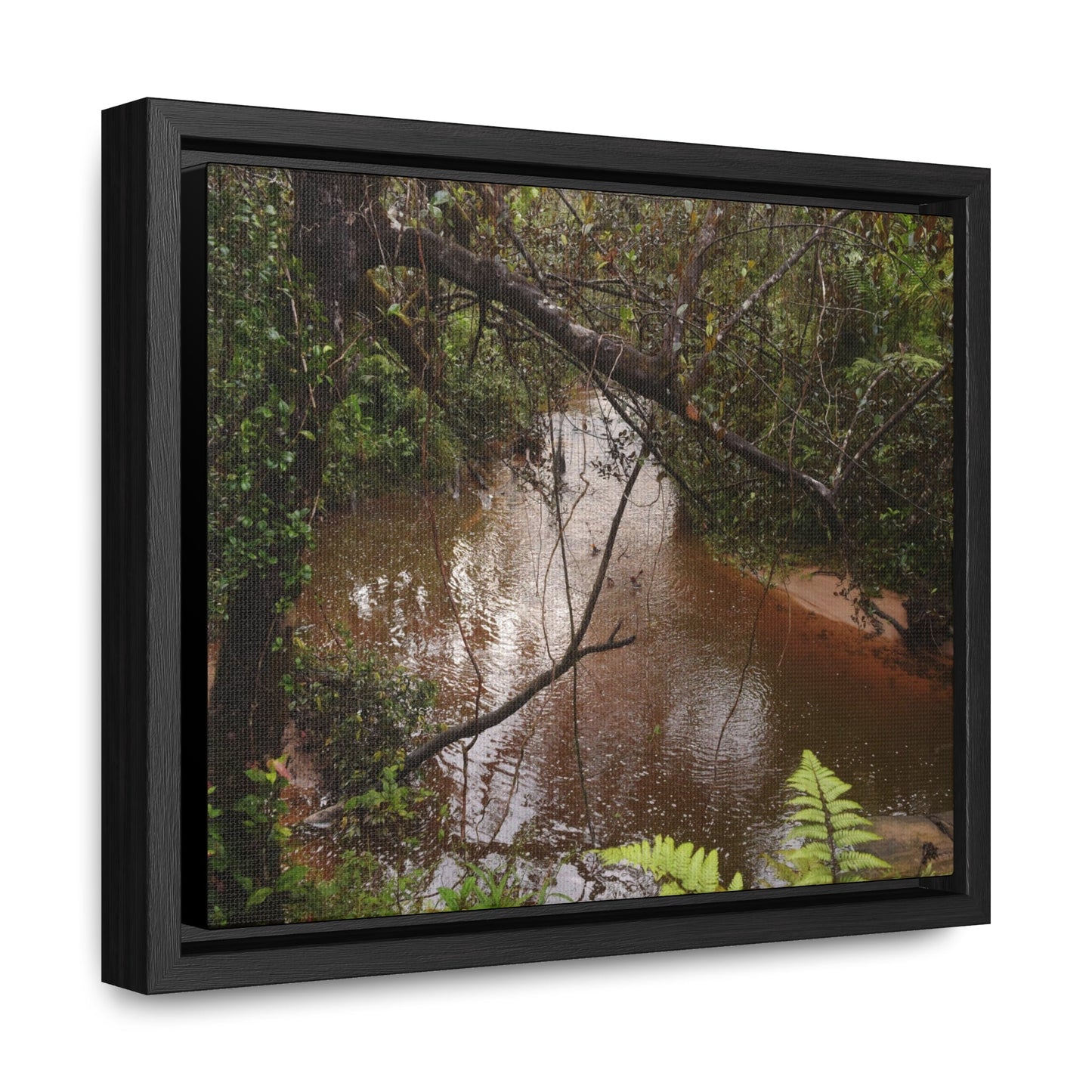 Rainforest Trails & Views - Gallery Canvas Wraps, Horizontal Frame - El Yunque National Forest - Puerto Rico - Rio Sabana on rainy day - Green Forest Home