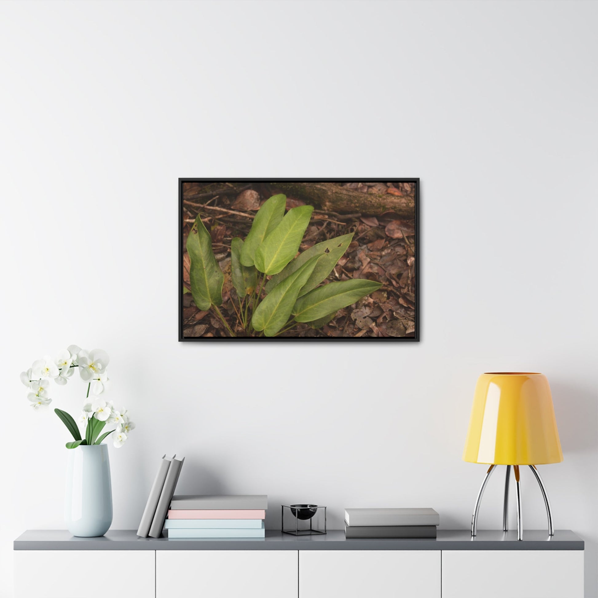 Rainforest Trails & Views - Gallery Canvas Wraps, Horizontal Frame - El Yunque National Forest - Puerto Rico - Rio Sabana one of over 250 plant species - Green Forest Home