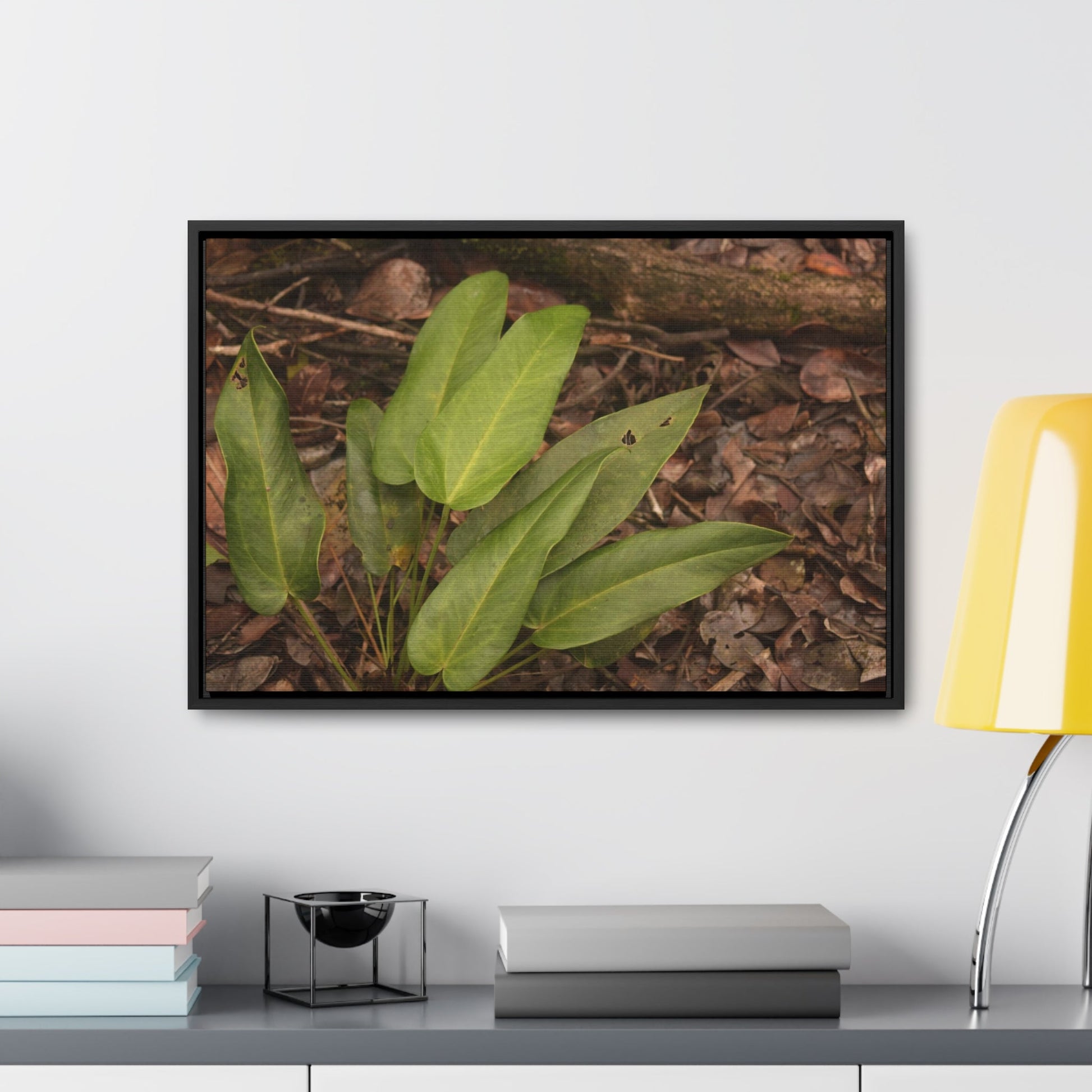 Rainforest Trails & Views - Gallery Canvas Wraps, Horizontal Frame - El Yunque National Forest - Puerto Rico - Rio Sabana one of over 250 plant species - Green Forest Home