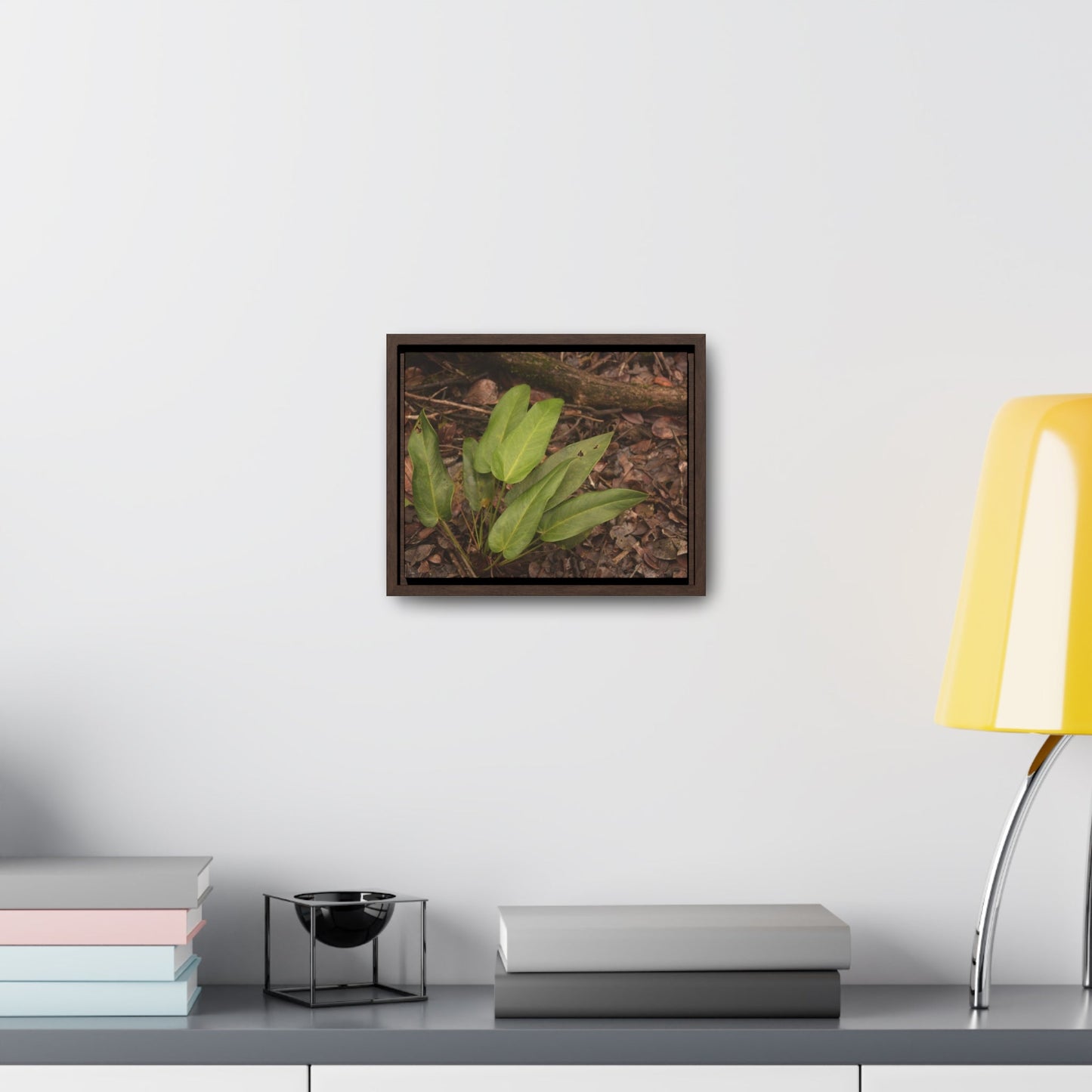 Rainforest Trails & Views - Gallery Canvas Wraps, Horizontal Frame - El Yunque National Forest - Puerto Rico - Rio Sabana one of over 250 plant species - Green Forest Home