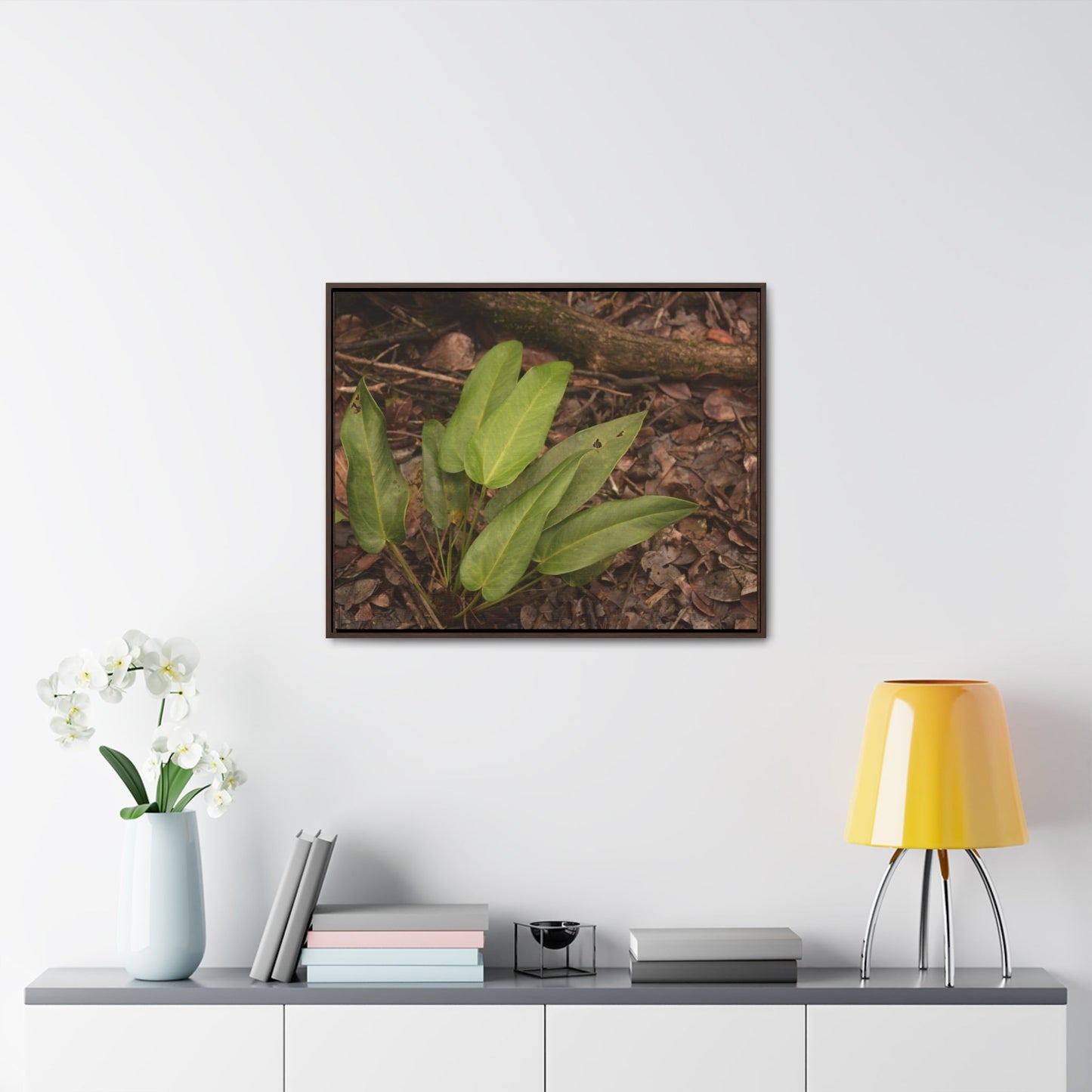 Rainforest Trails & Views - Gallery Canvas Wraps, Horizontal Frame - El Yunque National Forest - Puerto Rico - Rio Sabana one of over 250 plant species - Green Forest Home