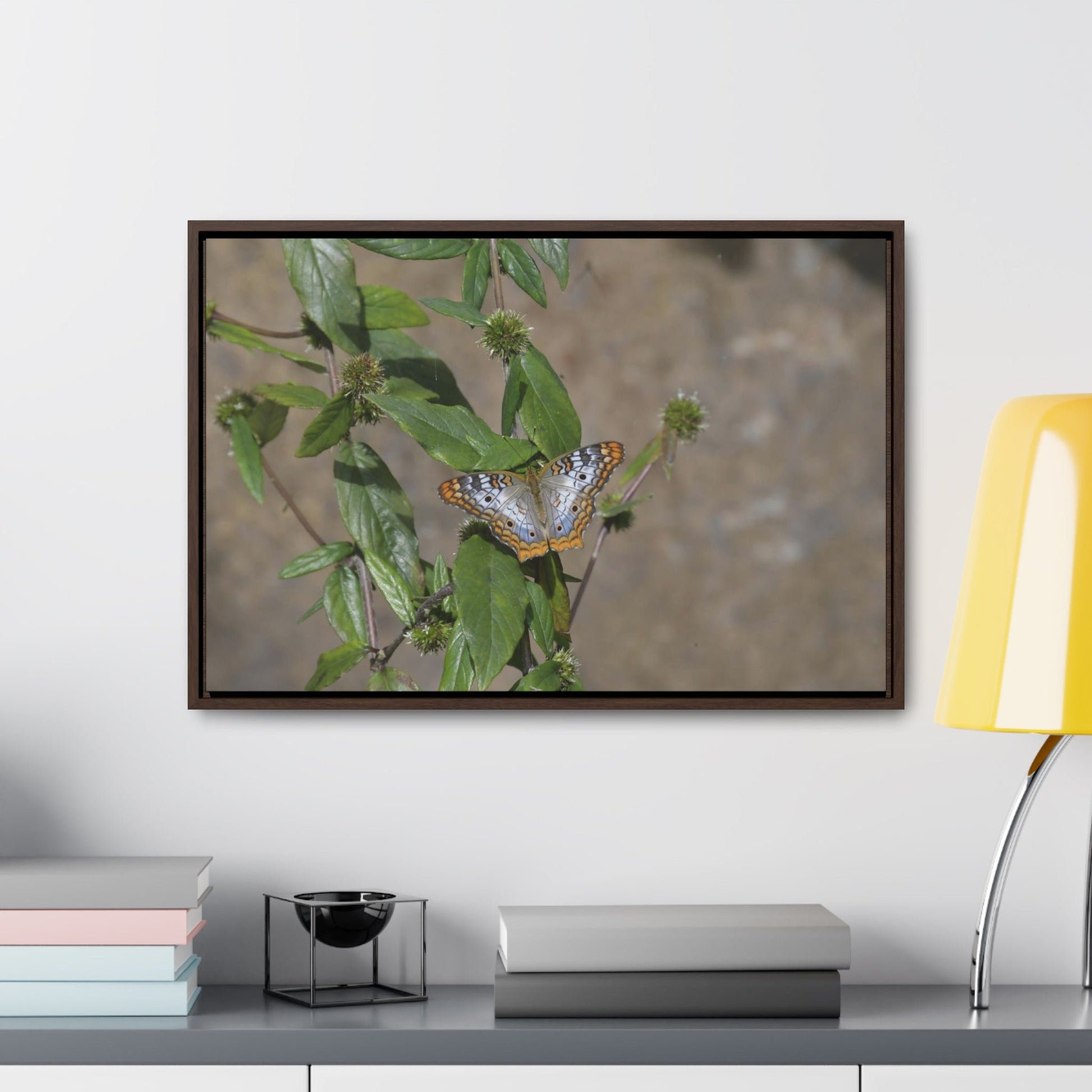 Rainforest Trails & Views - Gallery Canvas Wraps, Horizontal Frame - El Yunque National Forest - Puerto Rico - Rio Sabana Park Butterfly - Green Forest Home