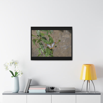 Rainforest Trails & Views - Gallery Canvas Wraps, Horizontal Frame - El Yunque National Forest - Puerto Rico - Rio Sabana Park Butterfly - Green Forest Home